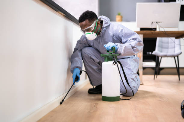 Best Pest Prevention Services  in Lmer Heights, PA